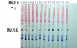 受孕排卵过程记录（受孕排卵过程记录怎么写）