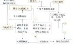 肠动力检查过程（肠动力检查过程图）