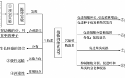 植物激素的发现过程（植物激素的发现过程讲课）