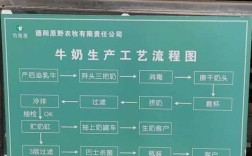 牛奶加工过程图（牛奶加工流程图）