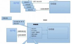 数据库存储过程怎么写（数据库存储过程怎么写出来）