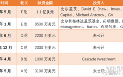 谷歌股融资过程（美股谷歌融资历程）