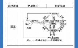 实体流动过程（物质实体的流动过程）