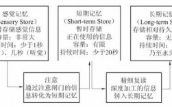 记忆的4个过程（记忆过程的四个阶段）