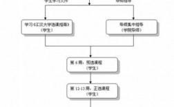 选修课选过程（选修课程的程序）