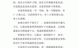 含羞草生长的过程（含羞草生长的过程与外貌作文400字）