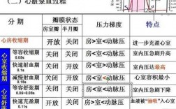 心泵血过程列表（心脏泵血过程包括哪些时程）