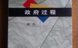 政府过程胡伟（政府过程名词解释）