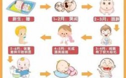 幼儿孕育生长过程（幼儿孕育生长过程图）