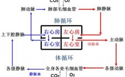 循环过程内能是否改变（循环过程可逆吗）