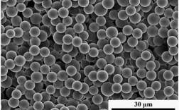 微球制备过程（制备微球的材料有哪些）