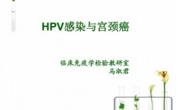 hpv感染的过程ppt（hpv ppt）