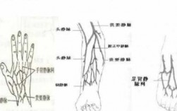 下肢注射静脉循环过程（下肢静脉注射有风险）