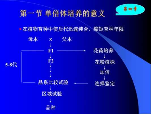 单倍体离体培养过程（单倍体培养技术要点）-图3