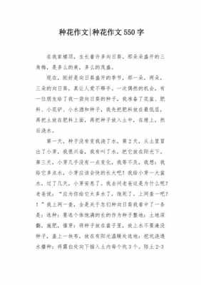 花盆种花的过程作文（盆栽花的作文300字三年级）-图1