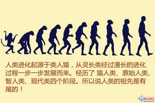 人类进化过程顺序图片（人类进化过程顺序图片大全）-图1