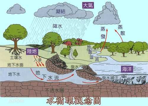 水循环过程和主要环节（水循环的过程超级简述）-图1