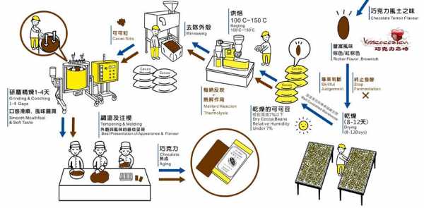 巧克力完整制造过程（巧克力的制造过程）-图1