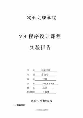 vb过程实验的总结（vb实验报告实验分析）-图3