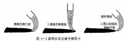 用笔过程是指（用笔的三个阶段）-图3