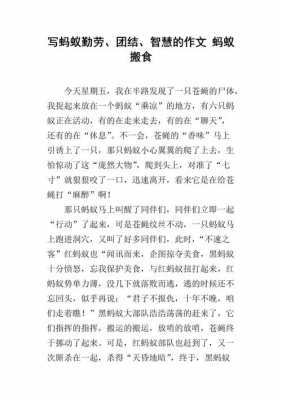 蚂蚁筑巢的过程写作（蚂蚁建巢的作文）-图2