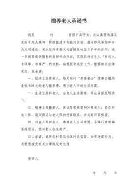 老年赡养的过程报告（老人赡养方案）-图2