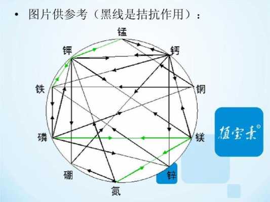 拮抗过程说（拮抗作用的含义）-图3