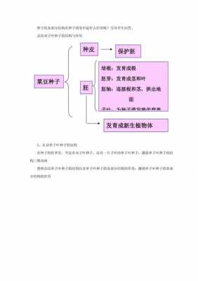 种子萌发的详细过程（种子萌发流程图）-图2