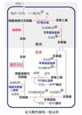 过程途径（过程和途径的关系）-图3