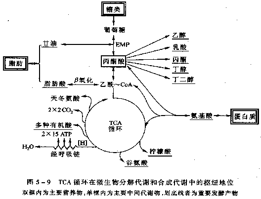 过程途径（过程和途径的关系）-图1