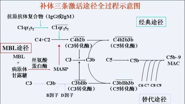 过程途径（过程和途径的关系）-图2