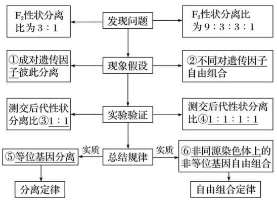 假说演绎法过程（假说演绎法过程描述）-图3