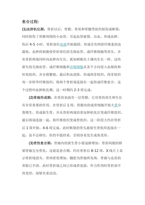 骨折愈合过程细胞形态（骨折骨细胞生长过程）-图3