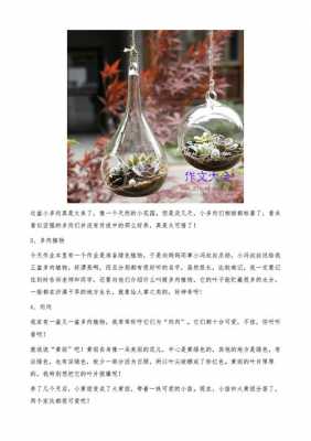 多肉植物生长过程日记（多肉植物生长过程日记100字）-图3