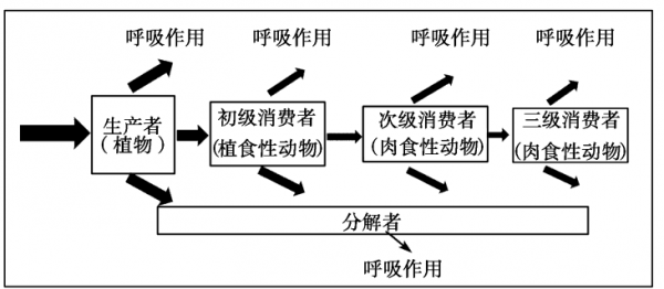 生物能量散失过程（生物能量散失过程图解）-图2