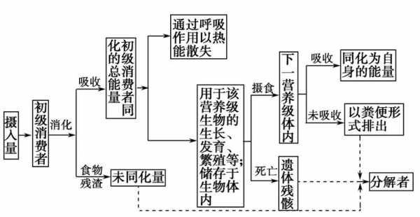 生物能量散失过程（生物能量散失过程图解）-图1