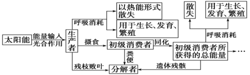 生物能量散失过程（生物能量散失过程图解）-图3