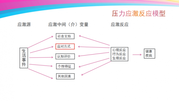 压力与应激过程（压力与生理的应激过程分为三个阶段）-图1