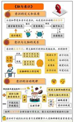 大脑意识产生的过程（大脑的意识水平分为5个阶段）-图1