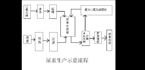 简述尿素合成过程（尿素合成的途径是什么）-图2