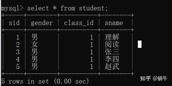 执行存储过程函数（执行存储过程命令）-图3