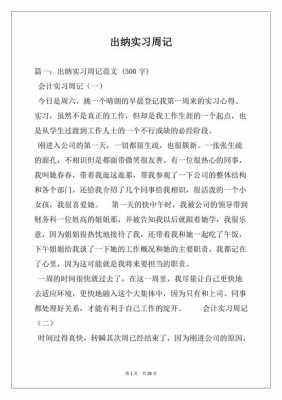 出纳实习过程记录（出纳实训记录）-图1