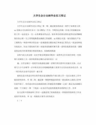 出纳实习过程记录（出纳实训记录）-图2