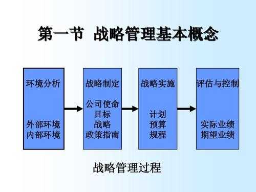 集中战略管理过程（集中战略一般有两种变化形式）-图1