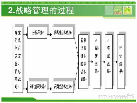 集中战略管理过程（集中战略一般有两种变化形式）-图2