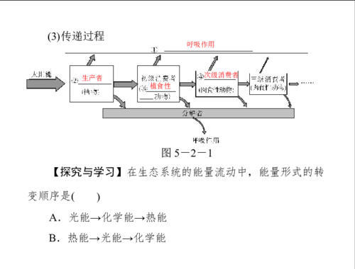 能量的传递过程图解（能量传递的原理）-图1