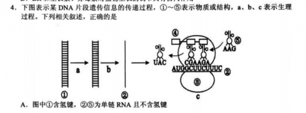 传递过程好考吗（传递过程基础）-图1