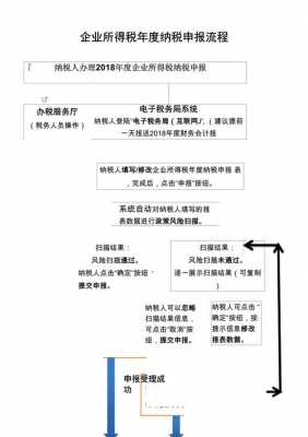 税纳税申报过程（纳税申报的实际操作流程）-图1