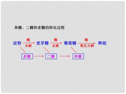 单糖多糖的转化过程（单糖如何转化为多糖）-图1