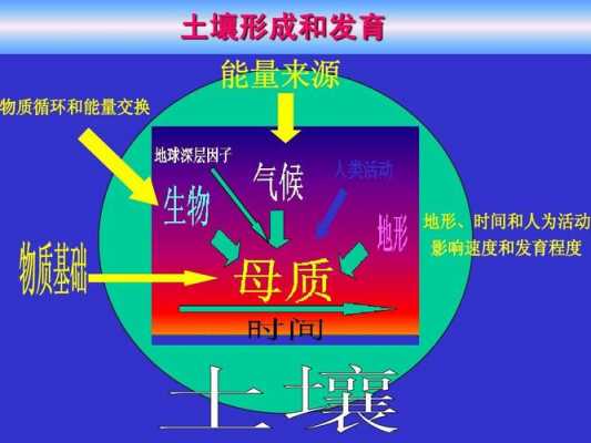 阐述土壤的形成过程（总结土壤的形成过程）-图1